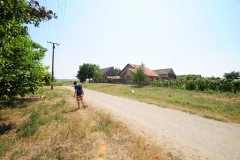 Ploschitz 2013